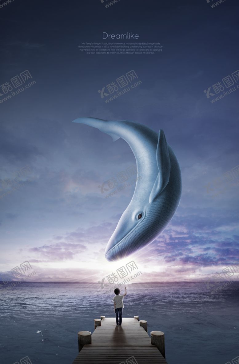 编号：14223909230345383336【酷图网】源文件下载-保护动物海报