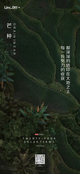 芒种微单海报