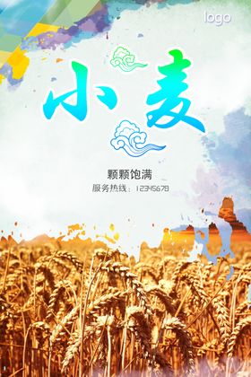 小麦种子图片