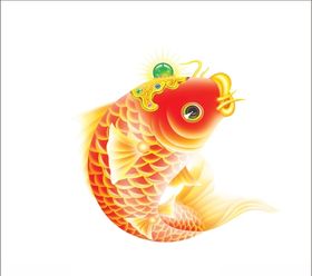 鲤鱼
