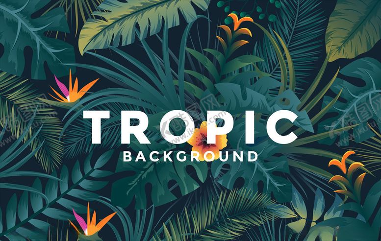 编号：96501109260051599843【酷图网】源文件下载-树叶背景