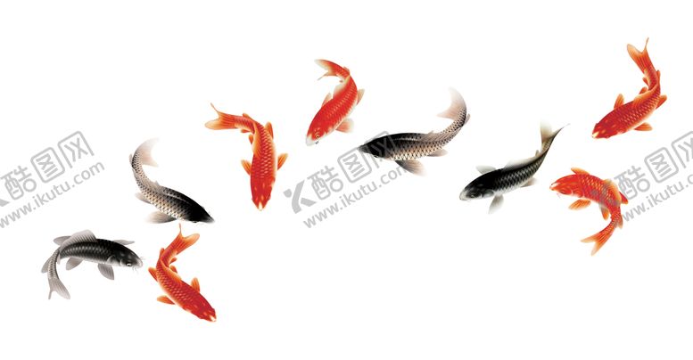 编号：79058210030627401278【酷图网】源文件下载-透明 手绘 九鱼 元素 素材