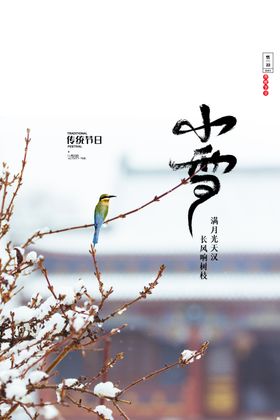 小雪节气传统活动复古海报素材