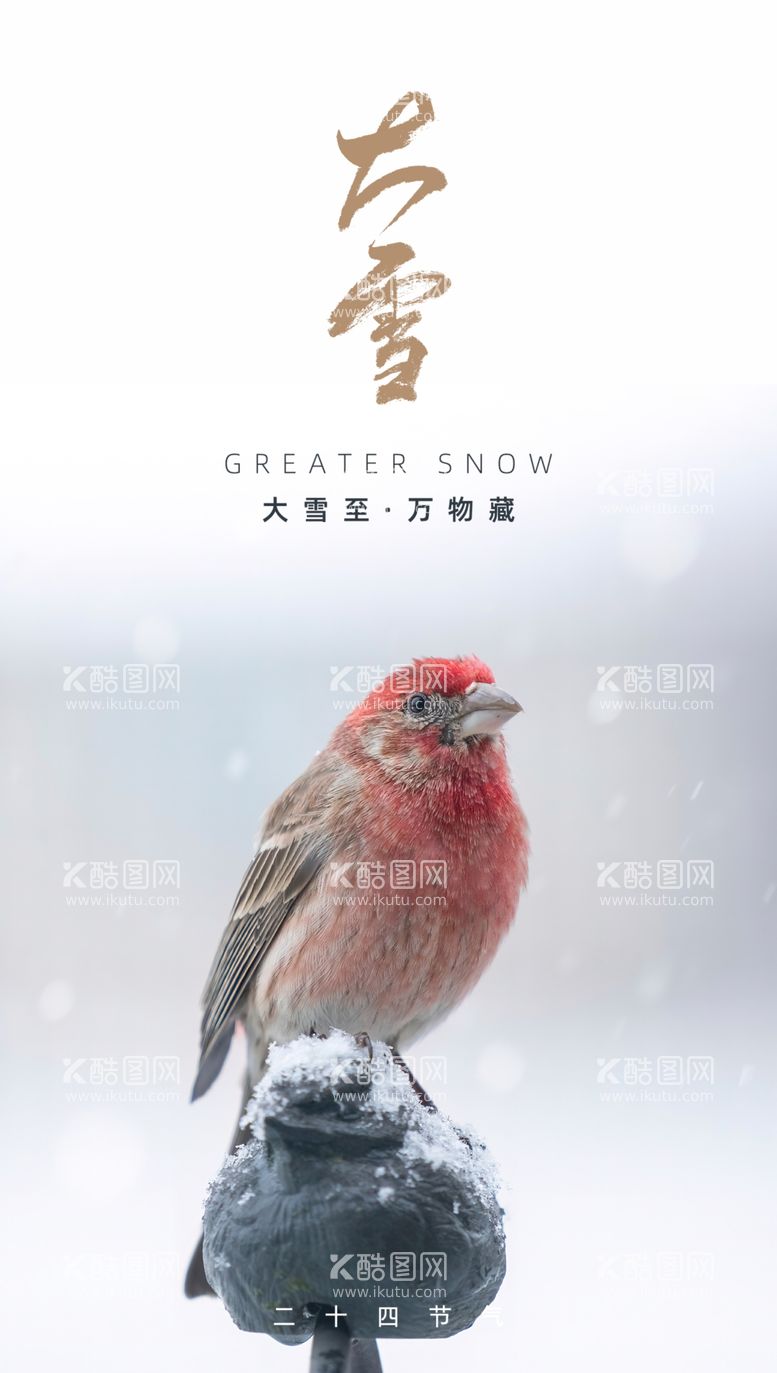 编号：32041609230611199523【酷图网】源文件下载-大雪海报