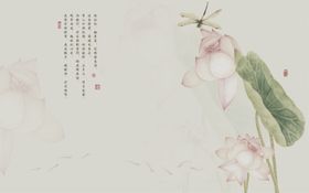 荷花背景风墙简约风格中国风