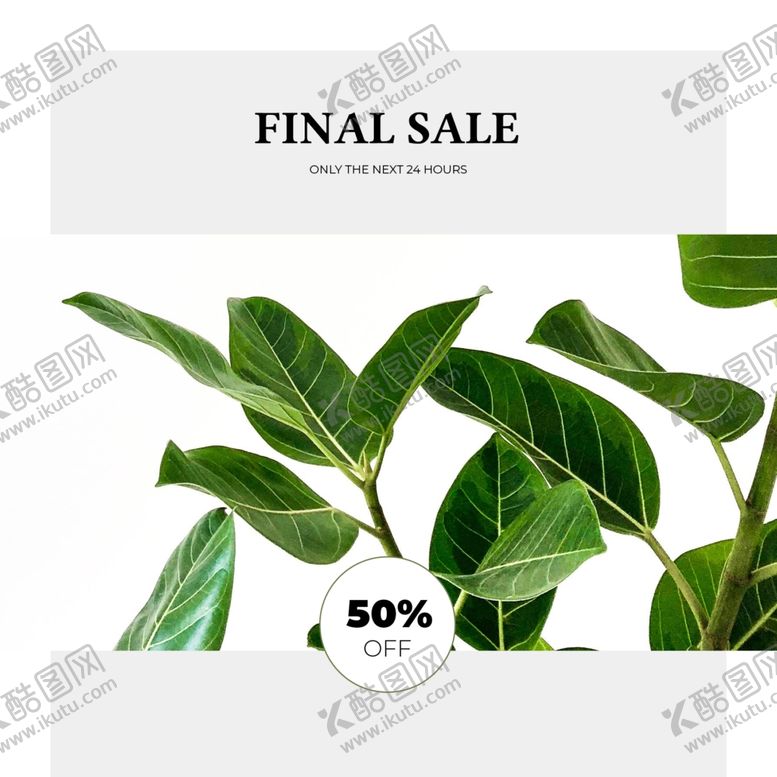 编号：35021009201505474251【酷图网】源文件下载-照片图片排版设计