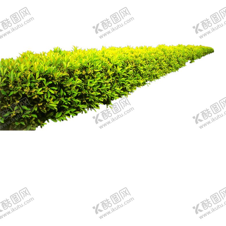 编号：44665509190547505796【酷图网】源文件下载-绿色相框