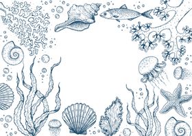 海洋生物矢量图线描插画