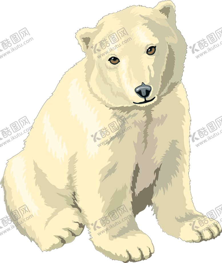 编号：59098304192112408155【酷图网】源文件下载-北极熊