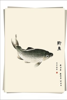 鲫鱼水墨画