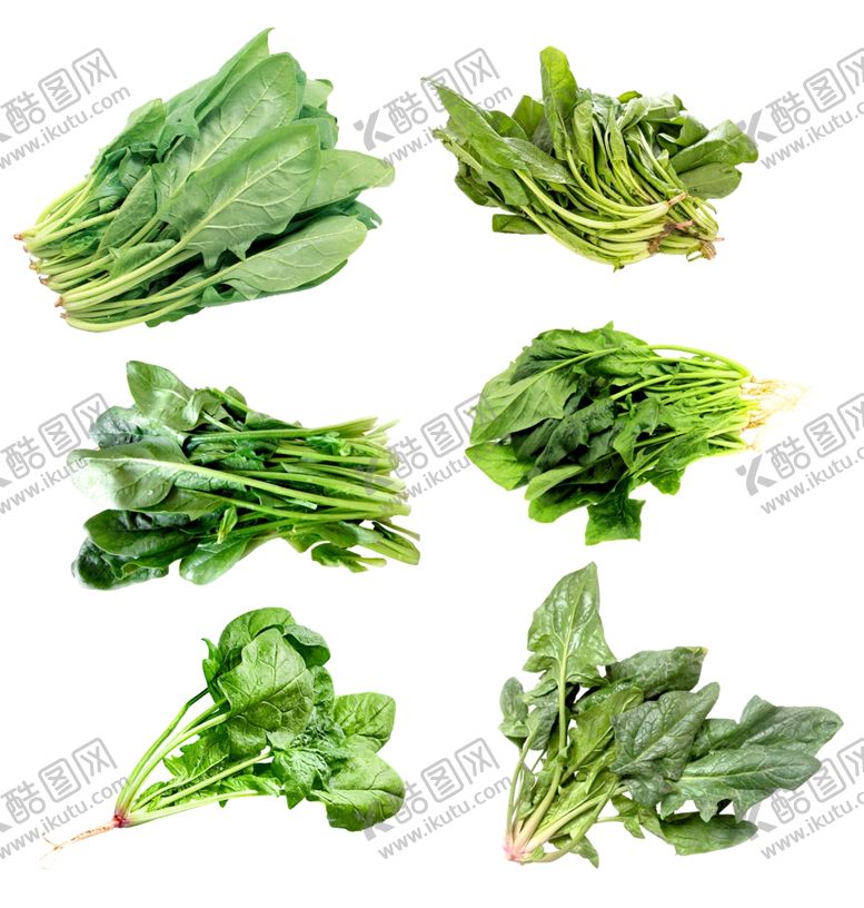 编号：36464009151241443011【酷图网】源文件下载-菠菜