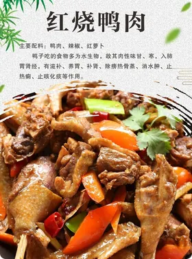 红烧鸭肉