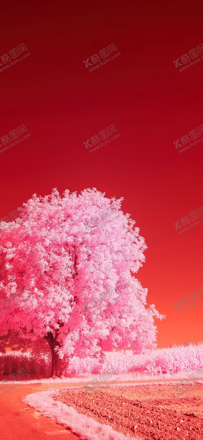 编号：25582601301118276209【酷图网】源文件下载-红色背景