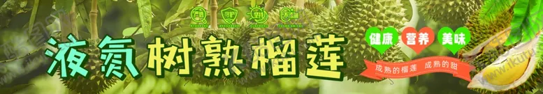 编号：59522001170129412524【酷图网】源文件下载-榴莲