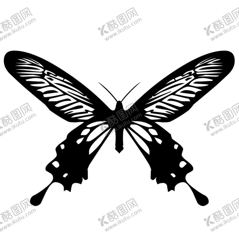 编号：61906310221801437397【酷图网】源文件下载-蝴蝶素材