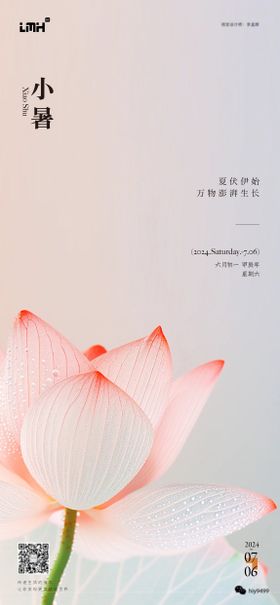 小暑节气海报质感创意二十四荷花