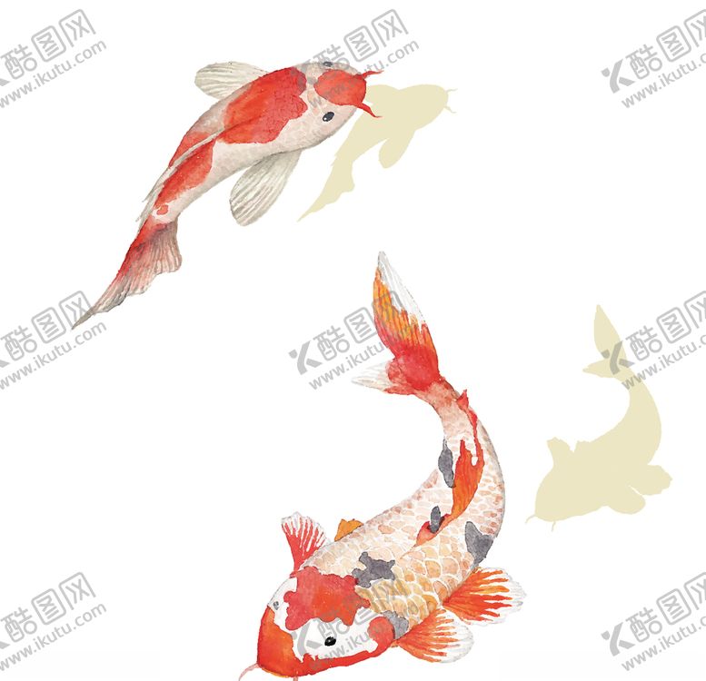 编号：39823506180724114038【酷图网】源文件下载-中国风水彩鲤鱼