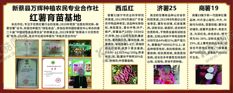 编号：14124702230607075623【酷图网】源文件下载-红薯宣传栏背贴
