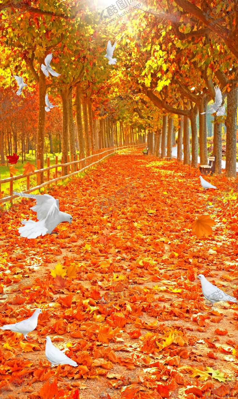 编号：27469910141219238838【酷图网】源文件下载-枫树玄关