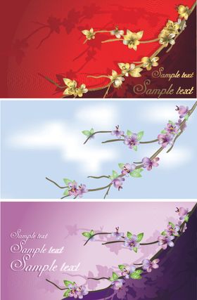 花卡