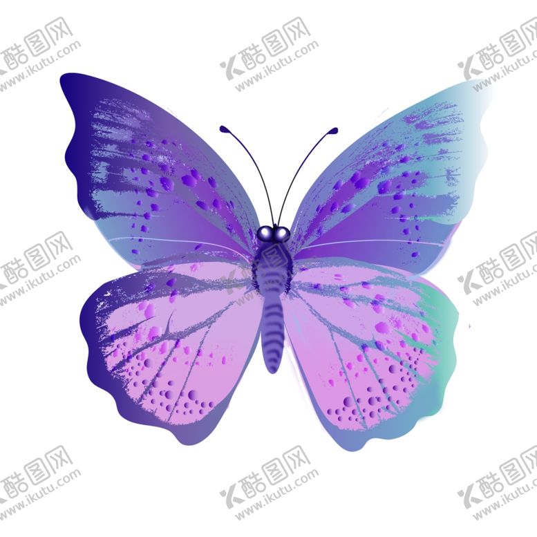 编号：16925603292241472676【酷图网】源文件下载-卡通紫色漂亮的蝴蝶