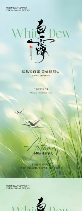 白露简约意境节气海报