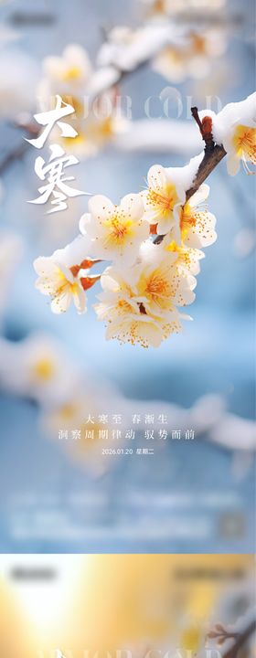 地产温暖大寒节气海报