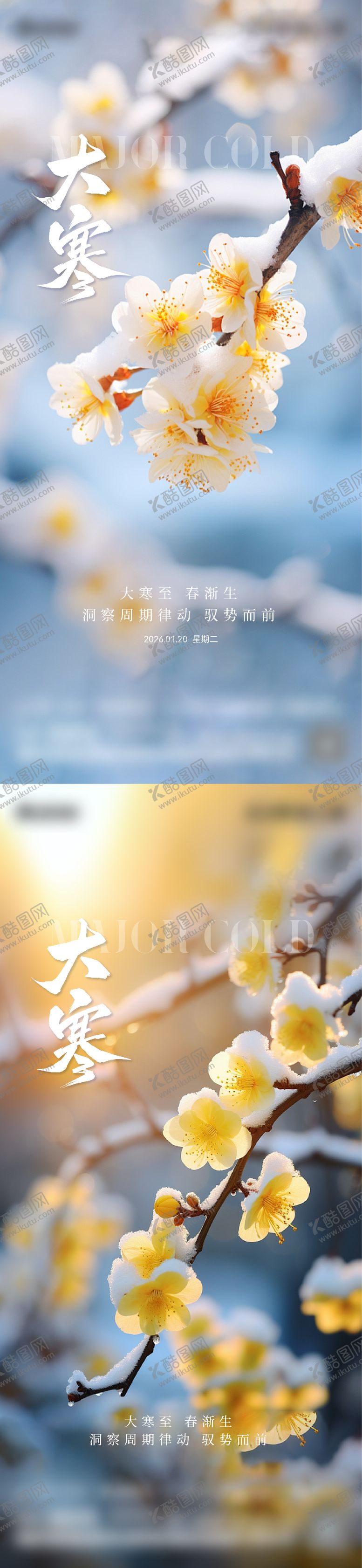 编号：11675801110203266993【酷图网】源文件下载-地产节气大寒