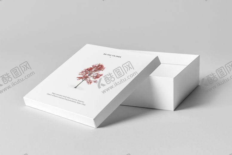 编号：69295809191737305636【酷图网】源文件下载-高端文艺简约极简VI包装盒效果