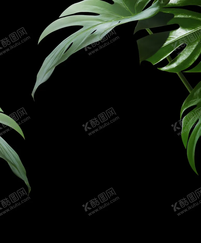 编号：71796301241334548930【酷图网】源文件下载-手绘叶子
