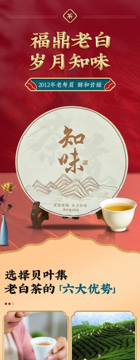 福鼎老白茶促销详情页