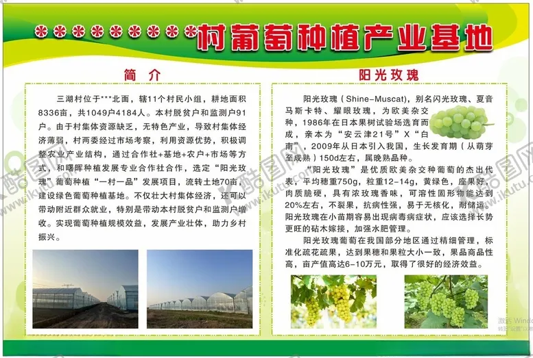 编号：90222002031623438958【酷图网】源文件下载-葡萄种植产业基地