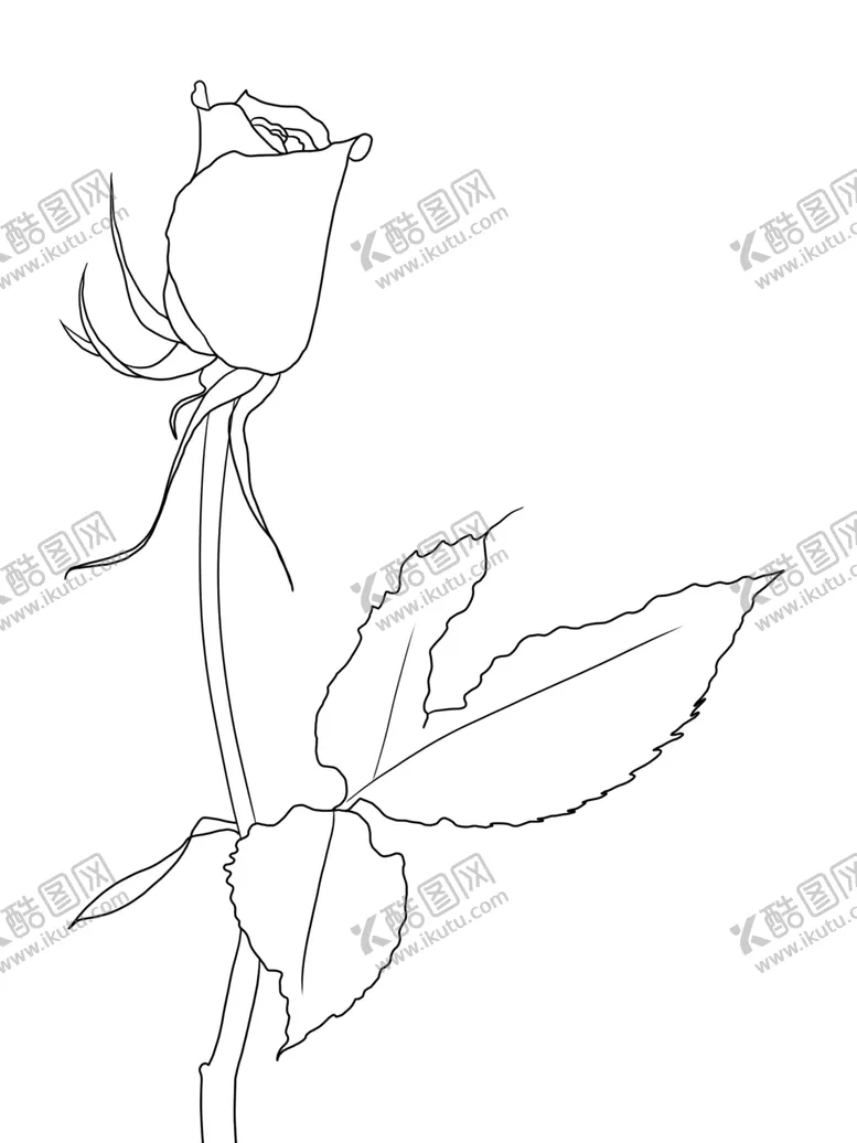 编号：62729406250451579243【酷图网】源文件下载-玫瑰花