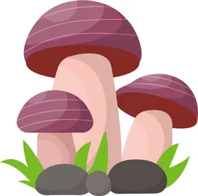 菌类植物蘑菇png免抠图卡通蘑菇菇