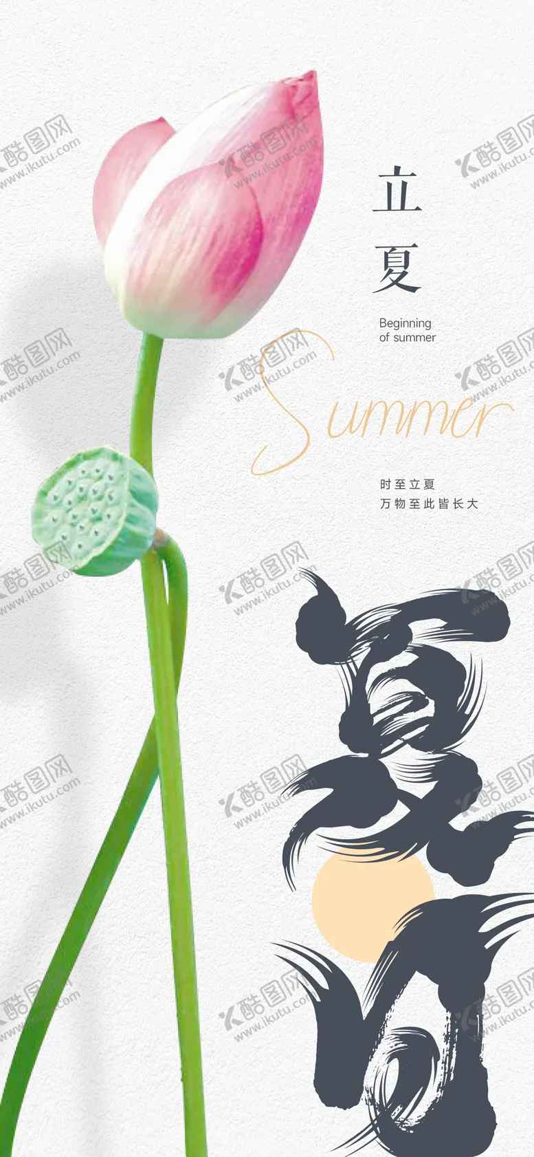 编号：40839904140901128307【酷图网】源文件下载-立夏节气荷花简约海报