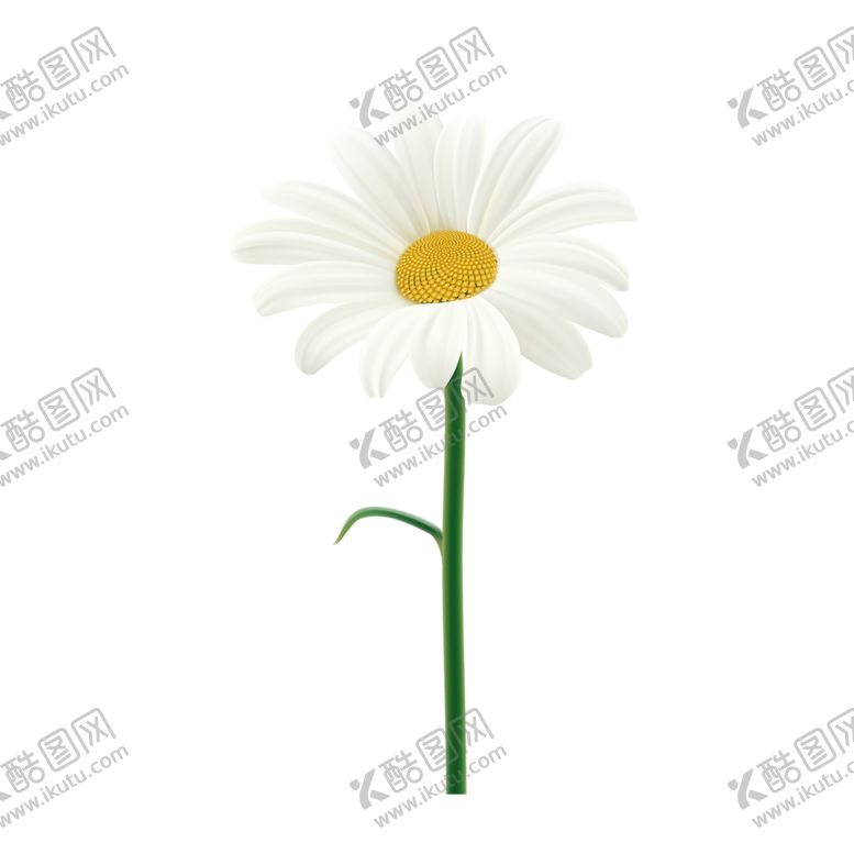 编号：14191306281539297814【酷图网】源文件下载-鲜花素材