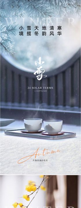 小雪海报简约系列二十四节气