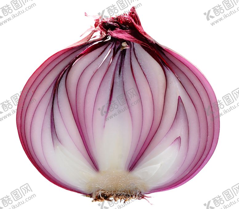 编号：44905709120548326493【酷图网】源文件下载-水果