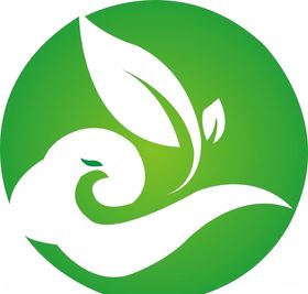 植物、茶叶、食品、有机、环保标