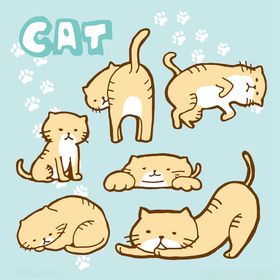 可爱猫咪的多样姿态