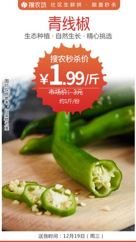 青线椒秒杀