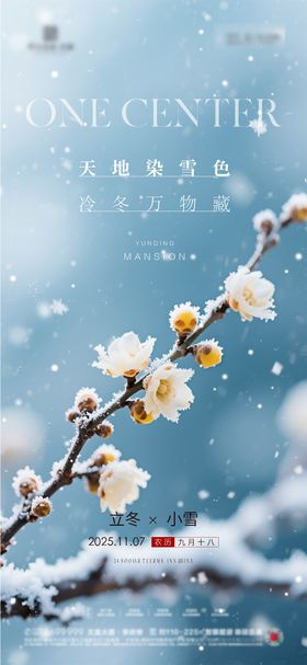 地产立冬小雪节气海报