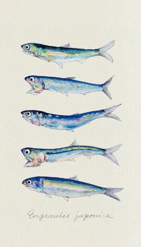 海洋元素水彩插画