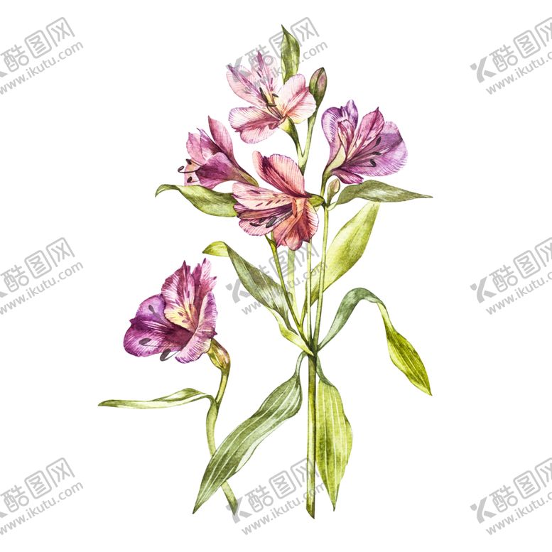 编号：34623609121151276927【酷图网】源文件下载-插画