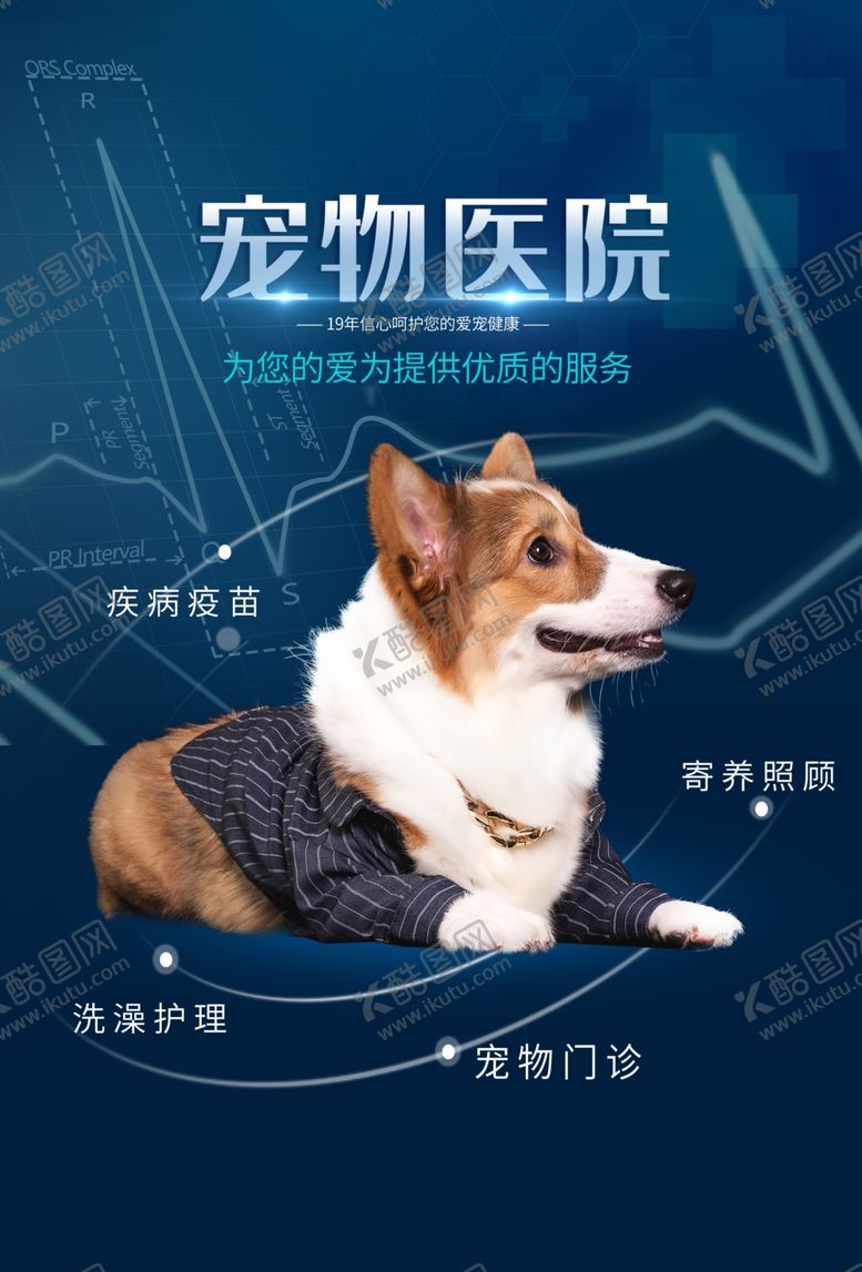 编号：98755409230602517670【酷图网】源文件下载-宠物医院医疗海报