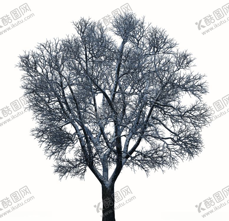 编号：40793010210326014129【酷图网】源文件下载-树木