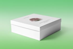 产品包装盒纸礼样机子纸箱