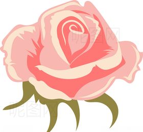 玫瑰花七夕矢量月季情侣