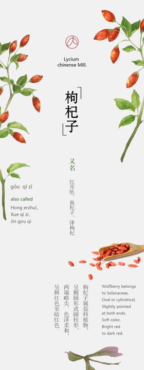 枸杞子介绍