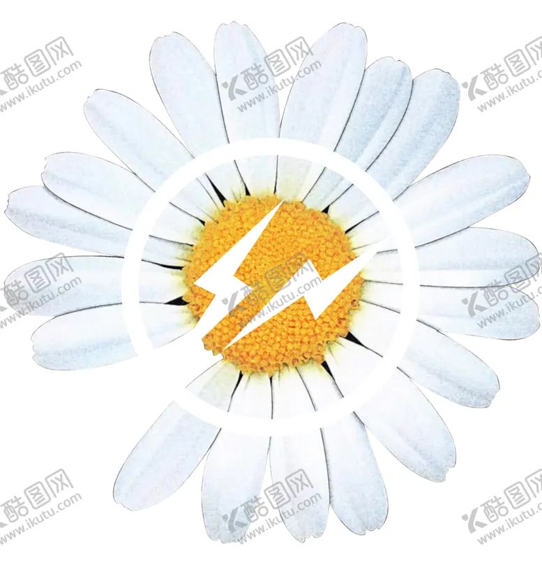 编号：94344806251822235256【酷图网】源文件下载-数码印花直喷猫国朝